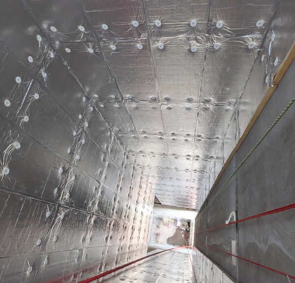 PXL_20250313_102915616.MP-1