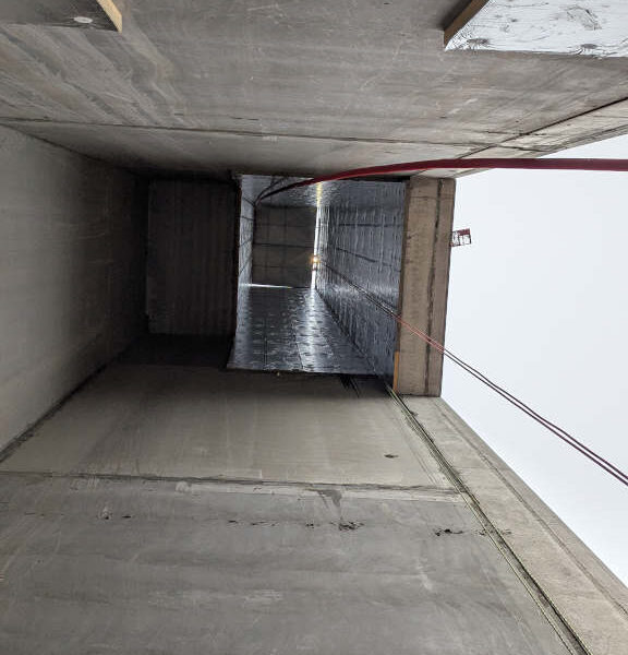 PXL_20250313_143832986.MP-1