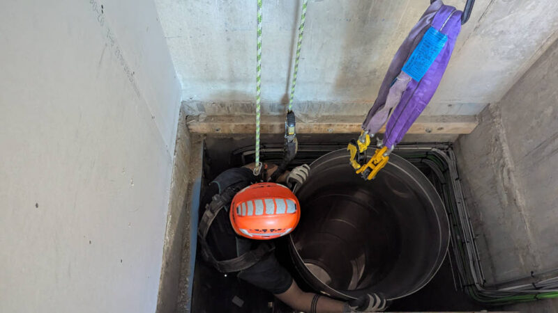 PXL_20250519_082556412-1